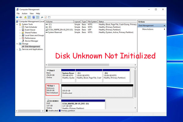 windows 10 hard drive not initialized